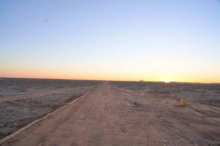 The Field's Edge at Sunset